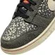 Унисекс кроссовки Nike Dunk Low Rainbow Trout