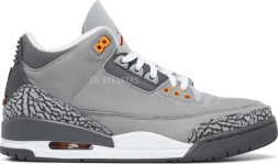 Nike Air Jordan 3 Retro &#039;Cool Grey&#039; 2021