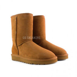 Непромокаемые Classic Short Chestnut II